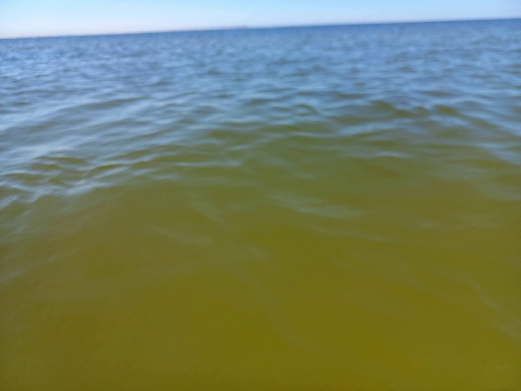 Mer décolorée, inquiétudes croissantes : un été noir pour le...