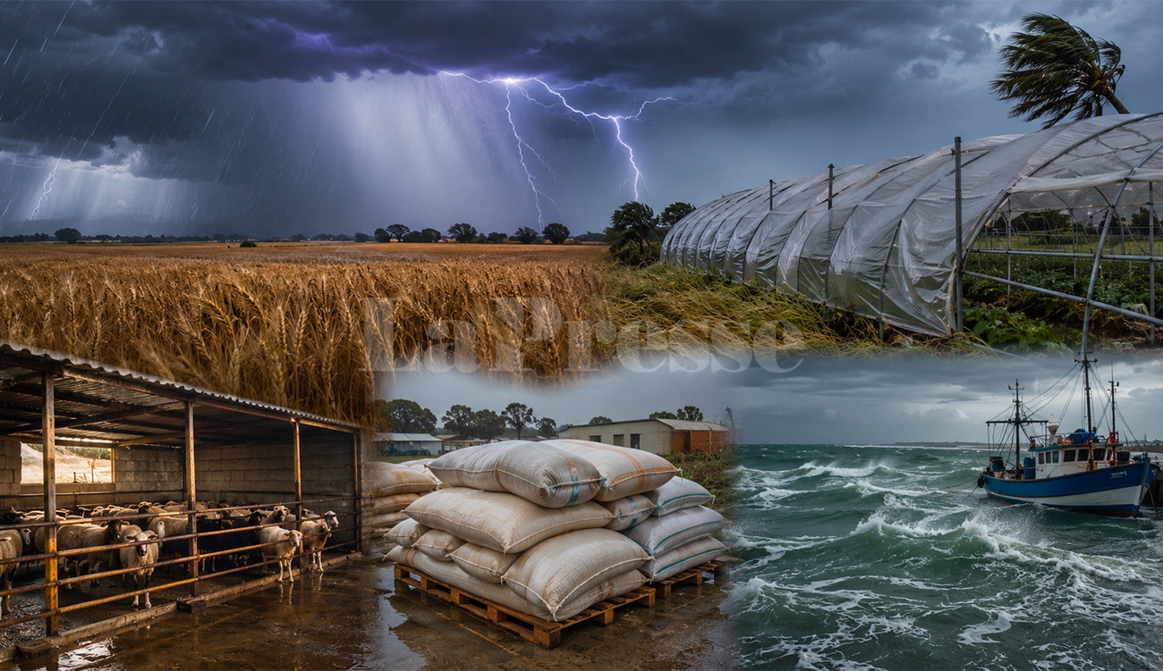 Alerte-orages violents : les fermes consignes du ministère de l&rsquo;Agriculture
