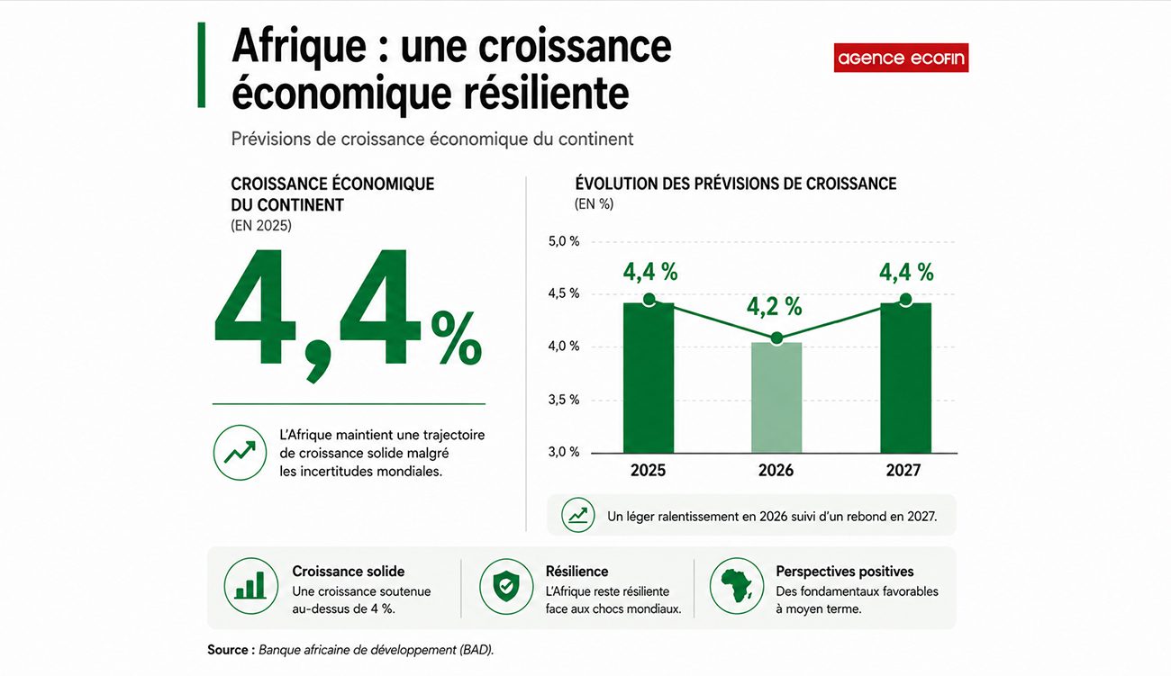 Perspectives économiques en Afrique 2026 : Ralentissement en 2026, ...