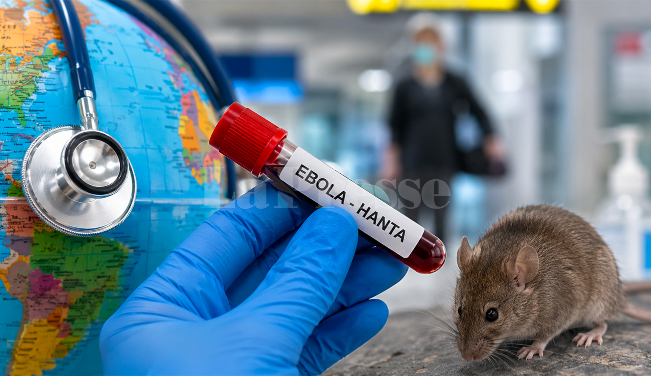 Ebola et Hanta : aucun cas suspect détecté en Tunisie