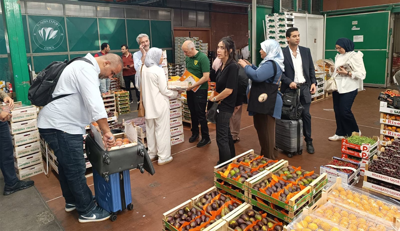 Les exportations de fruits et légumes tunisiens vers l&rsquo;Italie bondissent...
