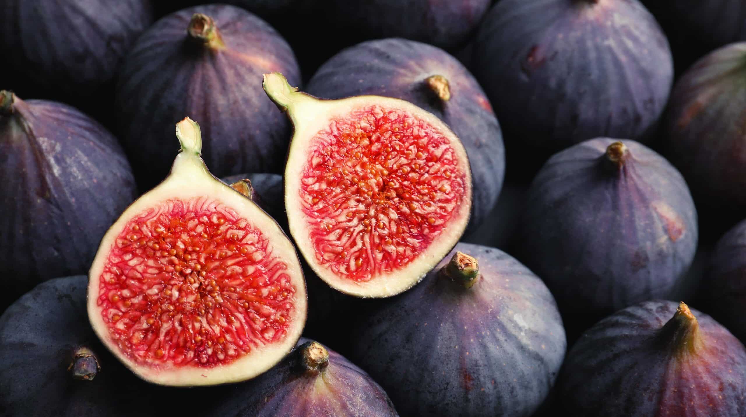 Résilience climatique : comment Siliana booste sa filière de figues...