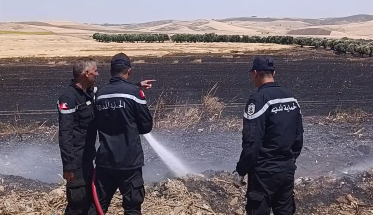 Béja : un incendie détruit environ 4 hectares de blé...