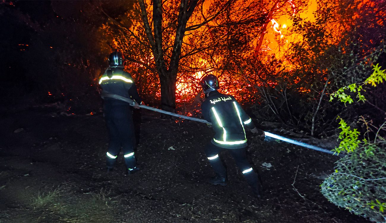 Bizerte : maîtrise d’un incendie forestier à Remel après plus...