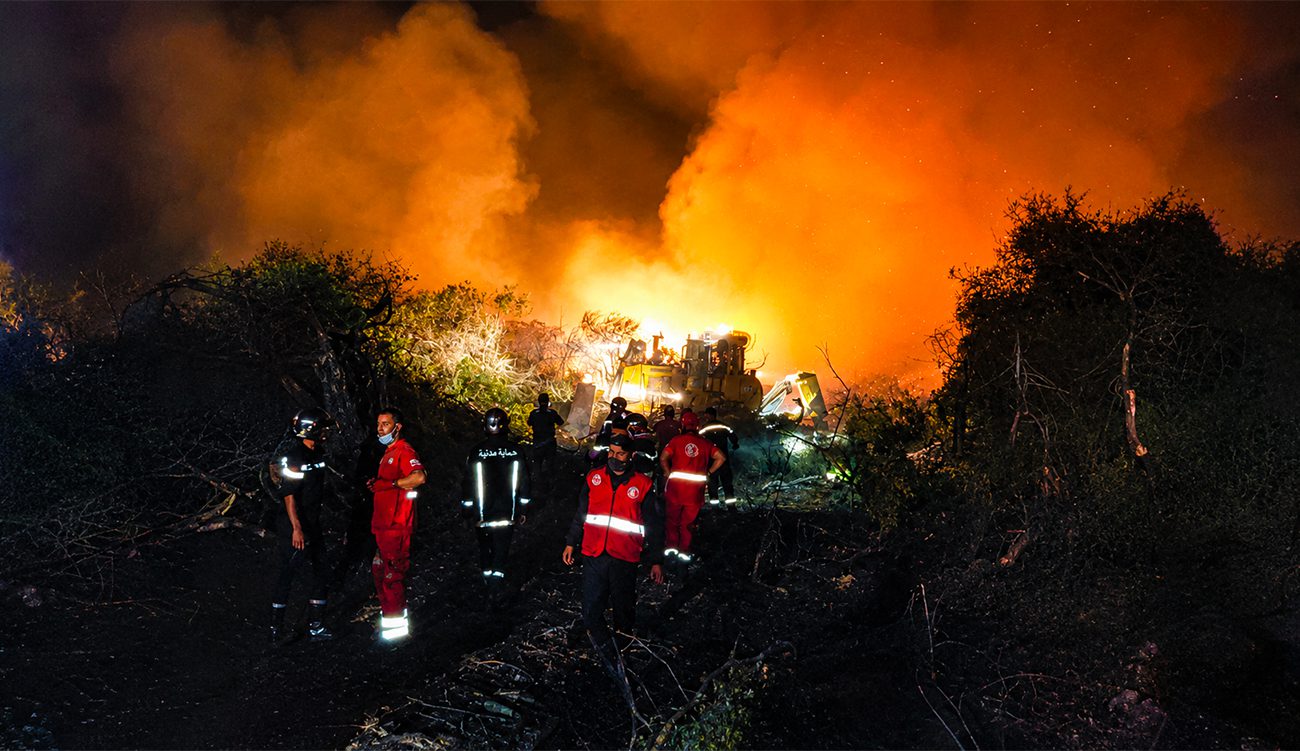 Un incendie éclate dans la forêt de Remel à Bizerte...