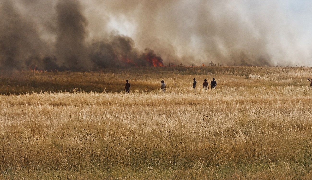 Un incendie dévastateur ravage 10 hectares de cultures à Balta-Jendouba