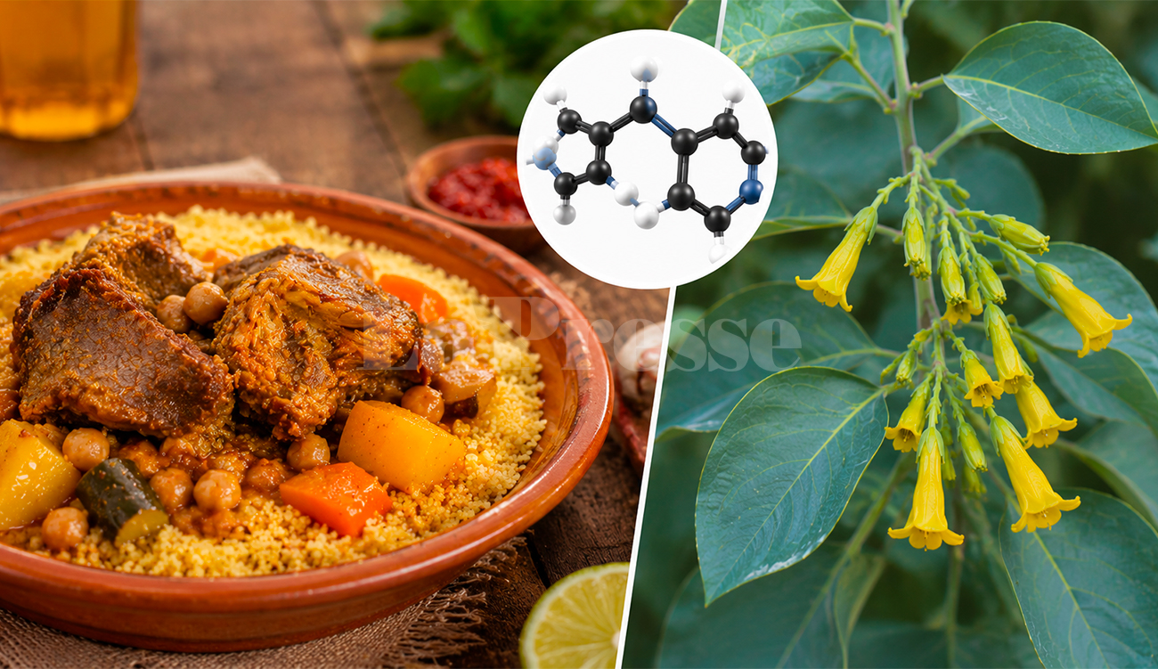 Intoxication alimentaire en Tunisie : que sait-on de l’anabasine détectée...