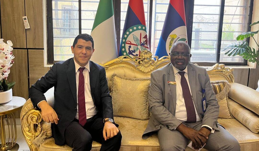 Tunisie–Nigeria : renforcement de la coopération dans le domaine de...