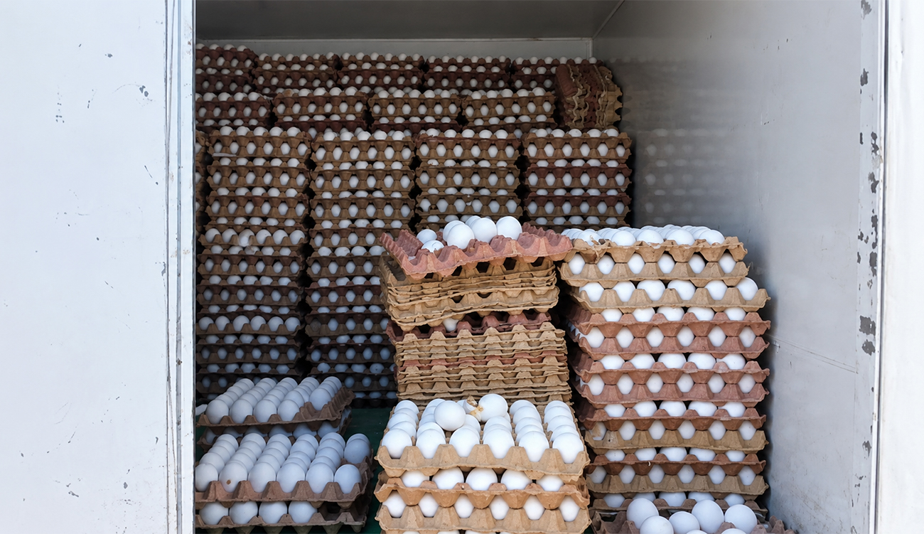 Manouba : 10 500 œufs saisis pour hausse illégale des...