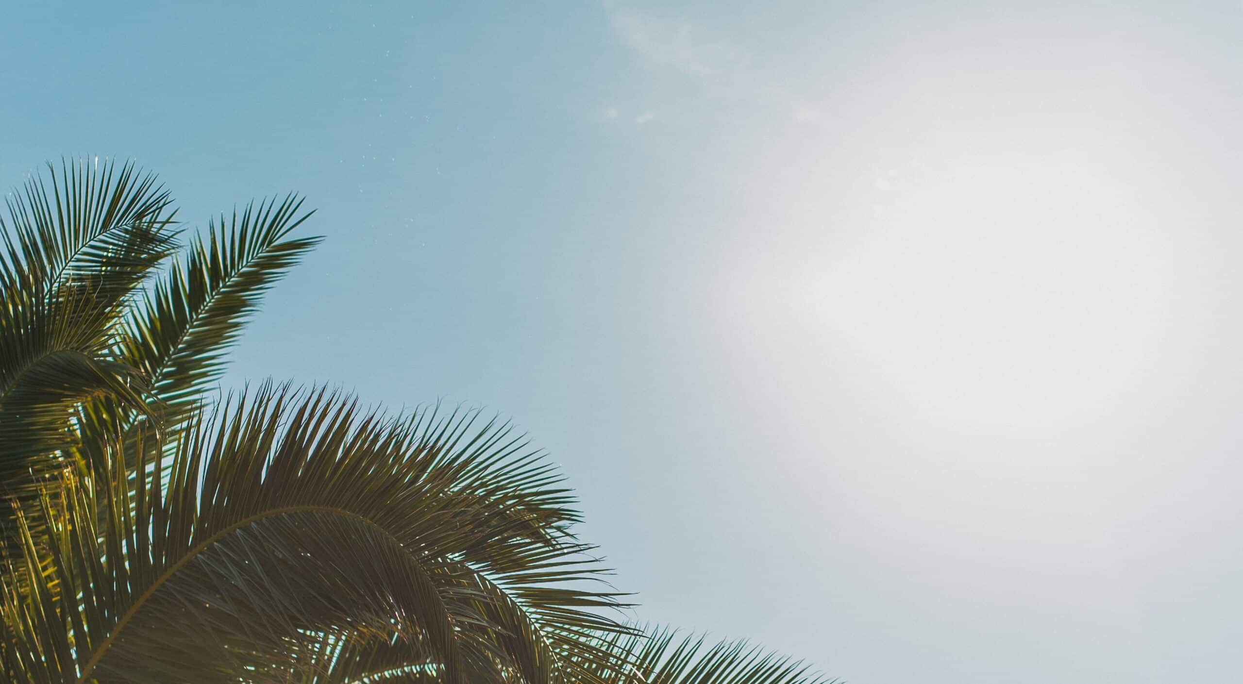 Météo : le mercure grimpe jusqu’à 41°C ce dimanche