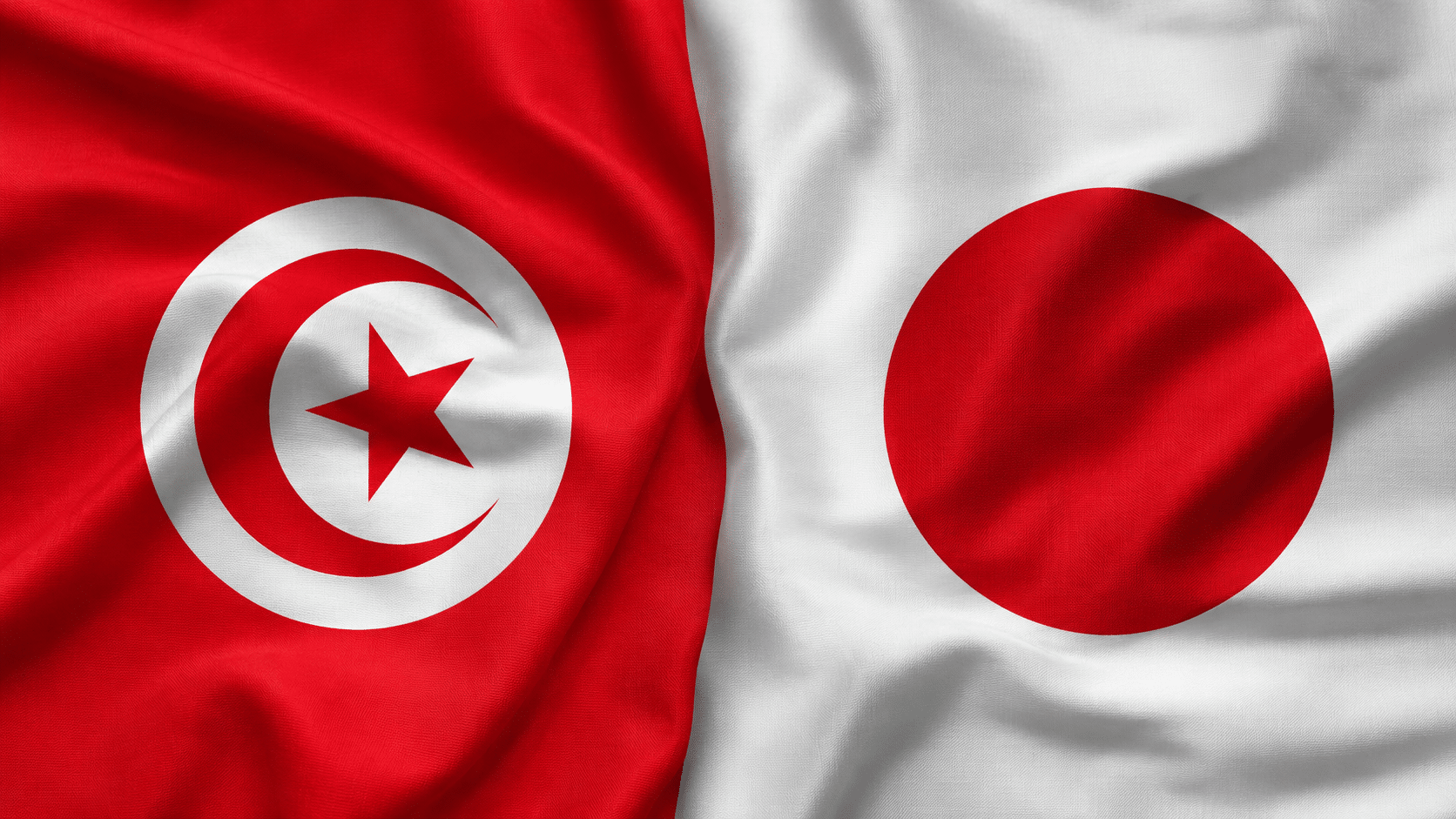 La Tunisie et le Japon célèbrent sept décennies d&rsquo;amitié