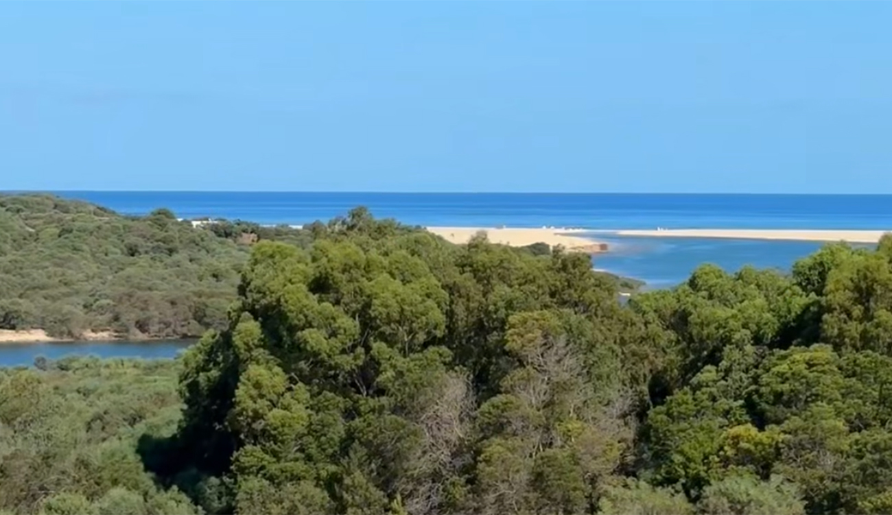 Béja : vaste opération de nettoyage de la plage de...