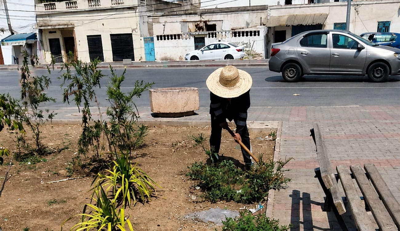 La municipalité de Tunis poursuit son programme d&rsquo;entretien des espaces...