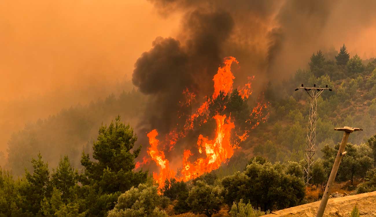 Turquie : les incendies gagnent du terrain, un hôpital et...