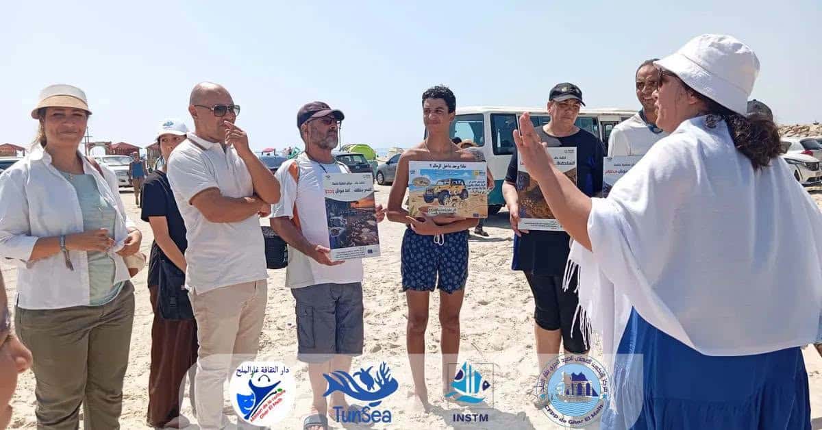 Bizerte : une tortue marine retrouve son milieu naturel après...